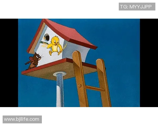 足球猫封面带你领略足球世界的奇妙与乐趣尽在其中